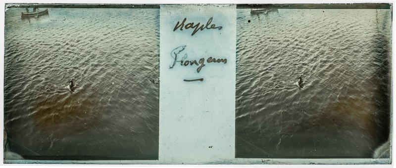 Naples Plongeurs — Italie-Naples — 1902