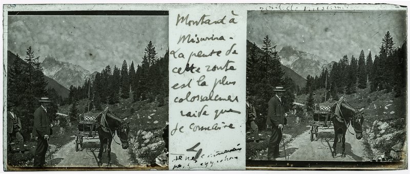 Montant à Misurina. La pente de cette route est la plus colossalement raide que je connaisse. — Italie-Misurina — 1902