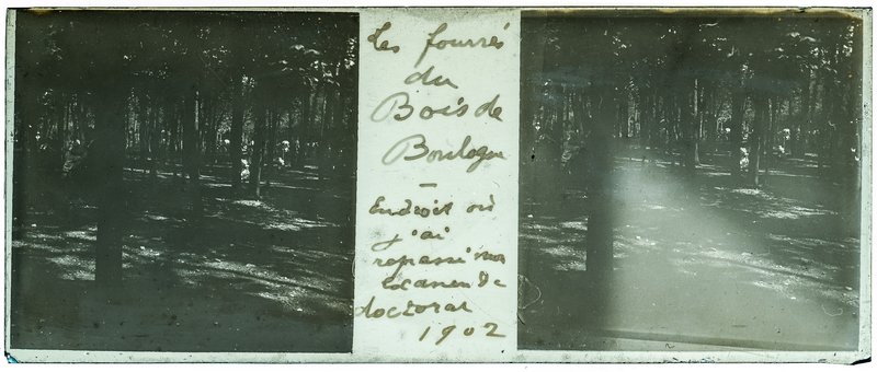 Les fourrés du bois de boulogne - Endroit ou j'ai repassé mon examen de doctorat 1902 — France-Paris Bois de boulogne — 1902
