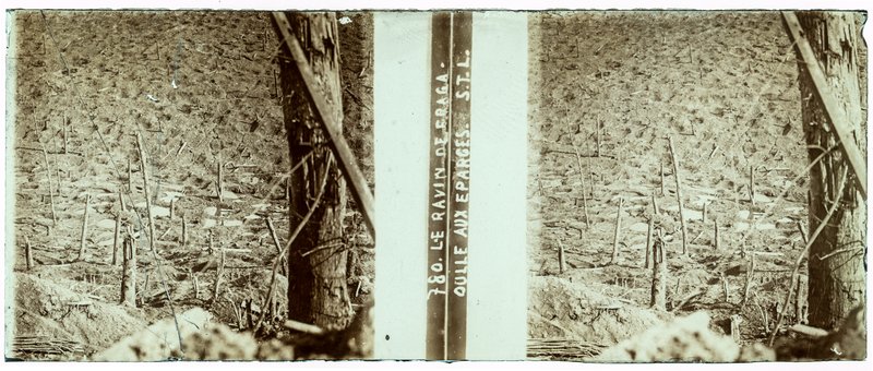 780 Le Ravin de Fragaoulle aux Eparges STL — France-Verdun Ravin de fragaoulle -