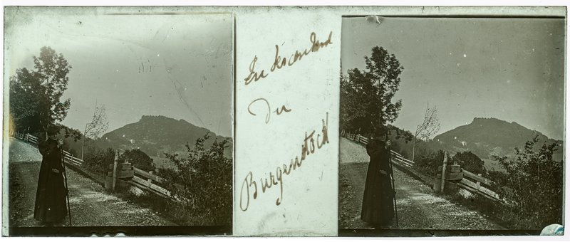 En descendant du Burgenstock — Suisse-Weggis burgenstock -