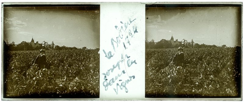 La bodière 1924 Joseph dans les Vignes — France-Val-du-Layon la bodière — 1924