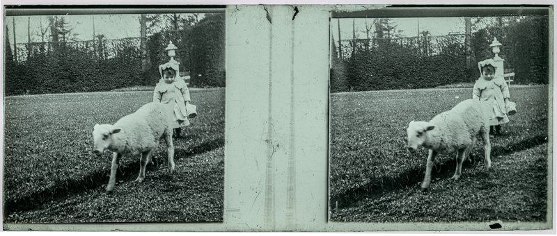 France-Lille-Esquermes — France-Lille-Esquermes