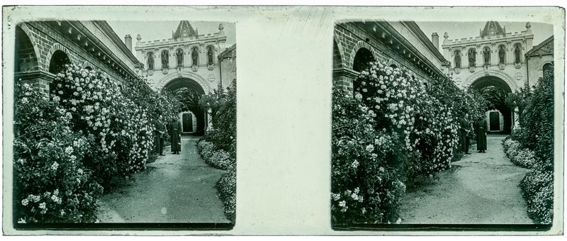 France-Cannes île Saint-Honorat — France-Cannes île Saint-Honorat