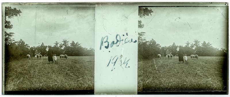 Bodière 1924 — France-Val-du-Layon La bodière — 1924