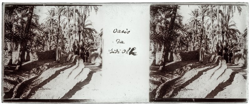 Oasis de Sidi Okba — Algérie-Sidi Okba — 1929