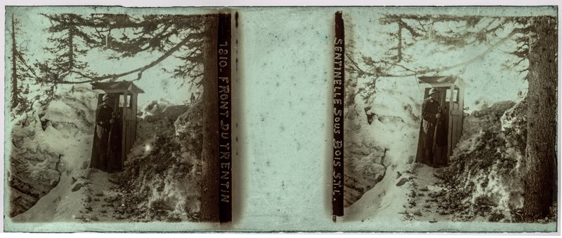 1810 - Front du trentin sentinelle sous bois S.T.L. — Italie-Plateau d'Asiago — 1916