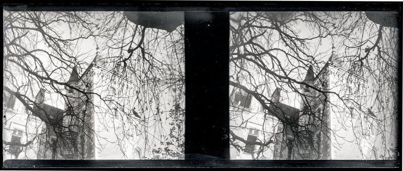 France-Val-du-Layon La bodière — France-Val-du-Layon La bodière