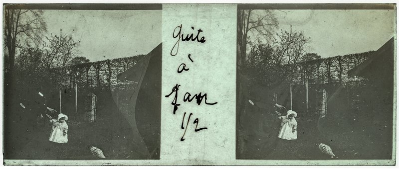 Guite à 1 an 1/2 — France-Lille-Esquermes — 1905