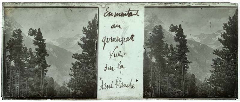En montant au gornergratt vue sur la  — Suisse-Gornergrat — 1902
