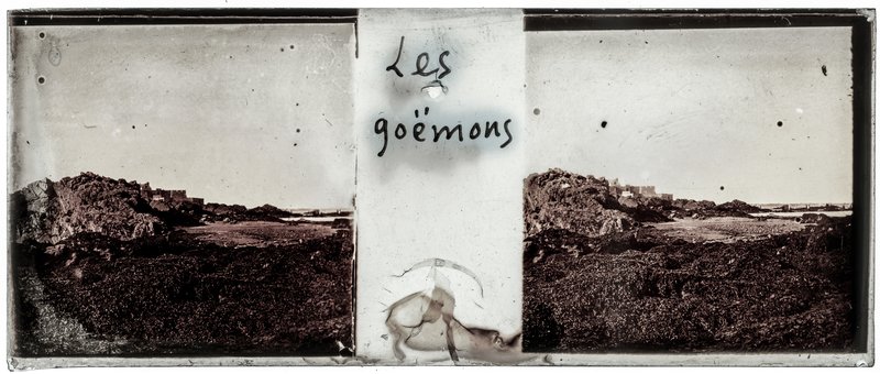 Les Goëmons