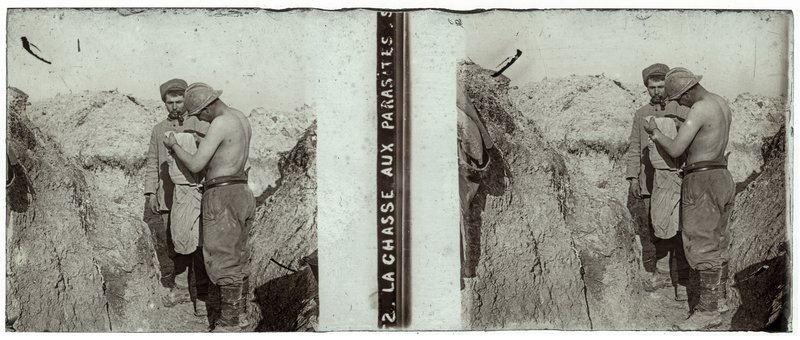 La chasse aux parasites