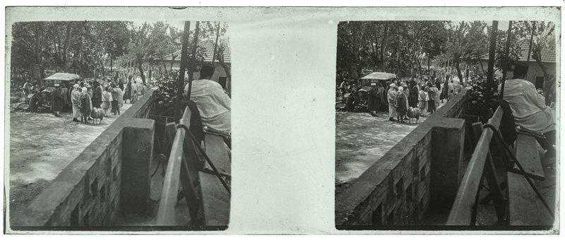 Algérie-Alger - 1929 — Algérie-Alger — 1929