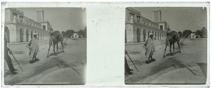 Algérie-Biskra hotel Royal - 1929 — Algérie-Biskra hotel Royal — 1929