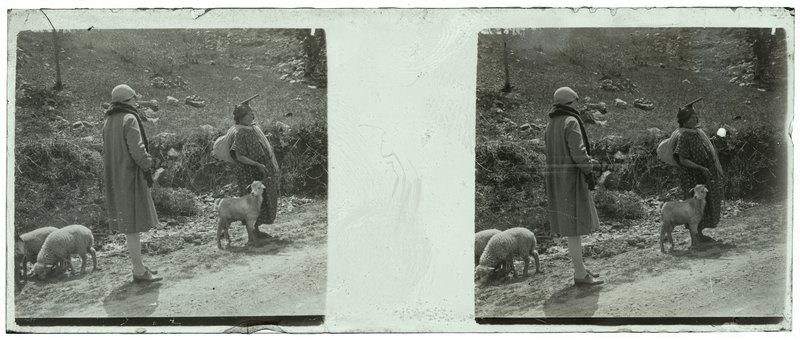 Algérie - 1929 — Algérie — 1929