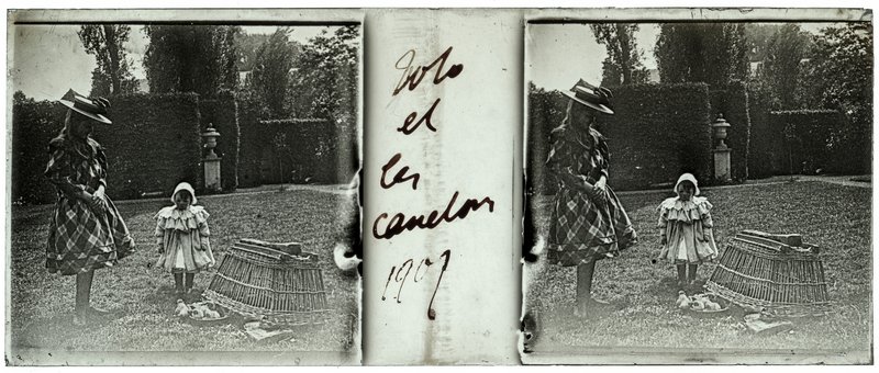 Toto et canetons 1907 — France-Lille-Esquermes - — 1907