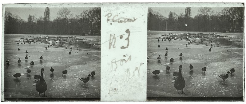 n°3 Bois de Boulogne — France-Paris bois de Boulogne — 1917