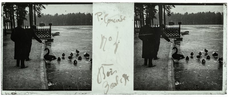 n°4 - Bois de Boulogne — France-Paris bois de Boulogne — 1917