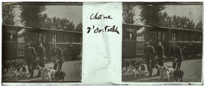 Chasse d'Oostvleteren — Belgique-Oostvleteren -