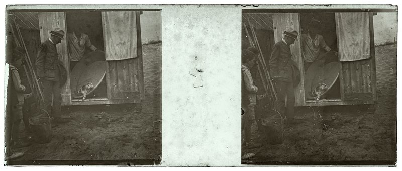 Phoque vivant des mers glaciales trouvé par le maitre baigneur sur la plage de Blonville — France-Blonville-sur-mer plage — 1921